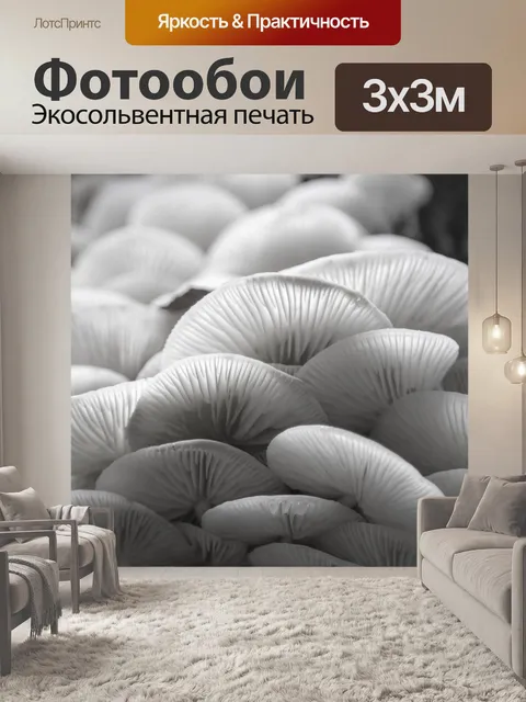Фотообои грибы