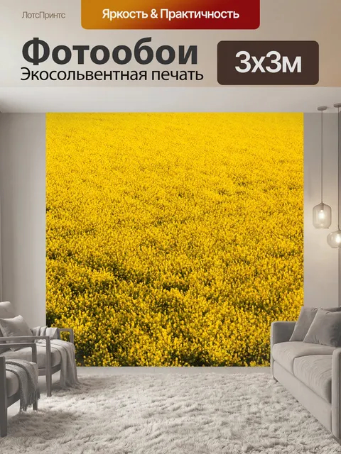 Фотообои рапсовое поле