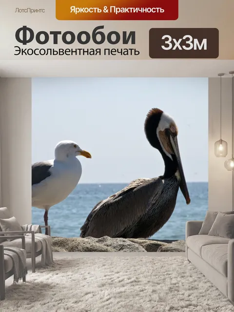 Фотообои Чайка и пеликан
