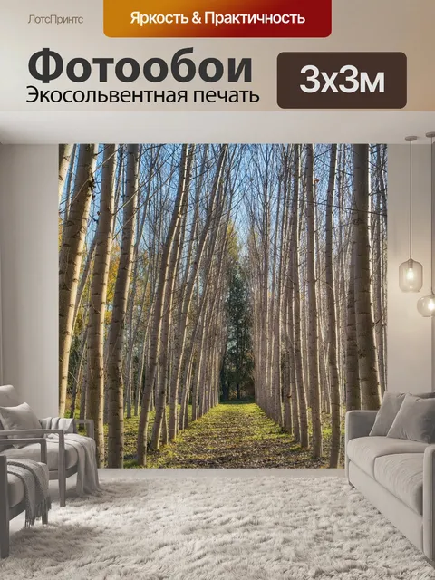 Фотообои Роща