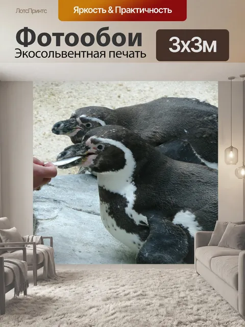 Фотообои Пингвины кормят рук