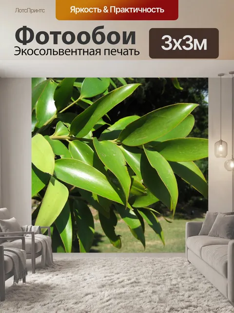 Фотообои Красивая ветка листвы