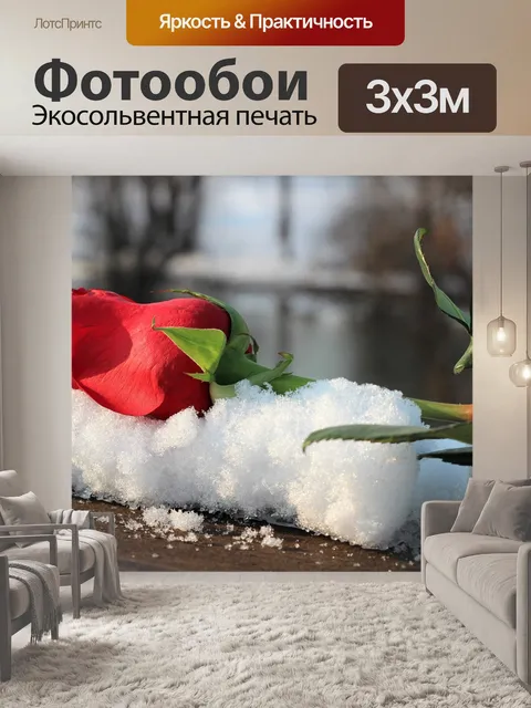 Фотообои Красная роза на мост забор