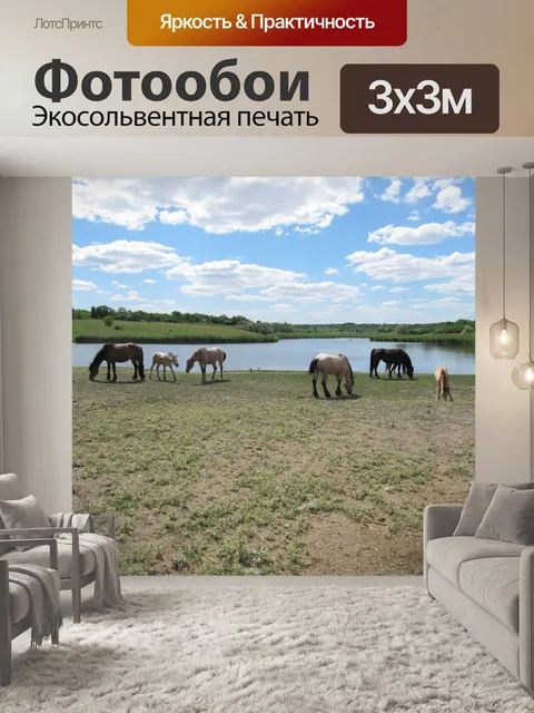 Фотообои Конь