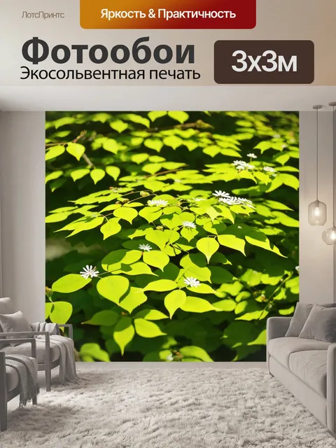 Фотообои с листьями весеннего сада