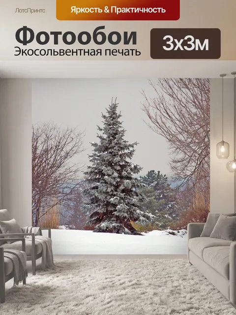 Фотообои Вечнозеленый