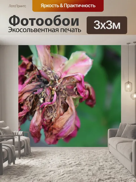 Фотообои Увядшие цветы