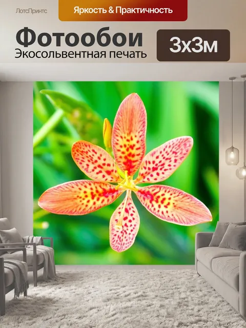 Фотообои Цветок с зелеными листьями