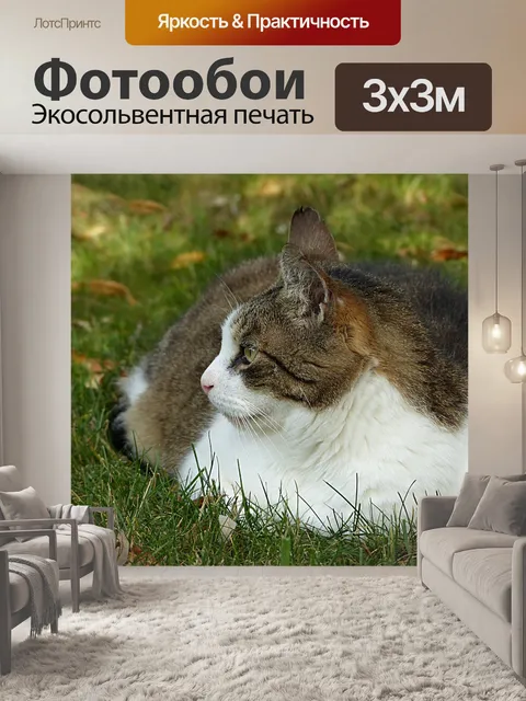 Фотообои Животное