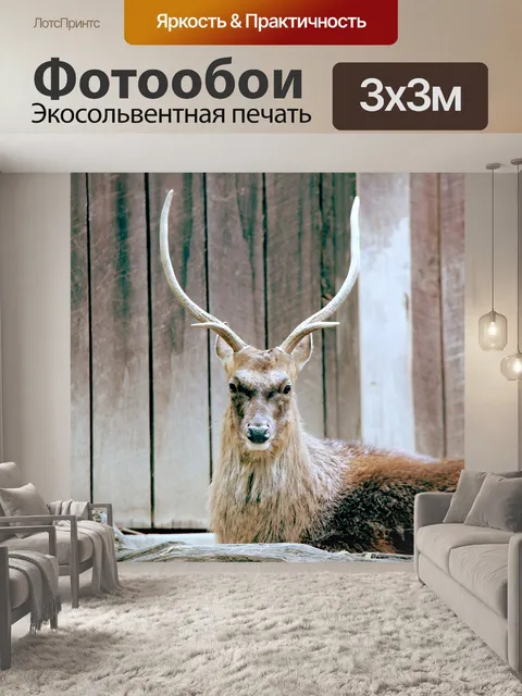 Фотообои Пятнистый олень