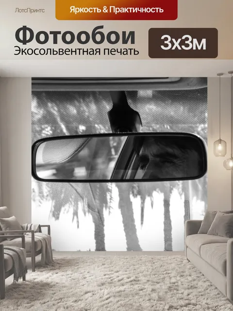 Фотообои Зеркало заднего вида