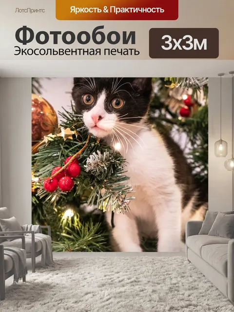 Фотообои Кошка