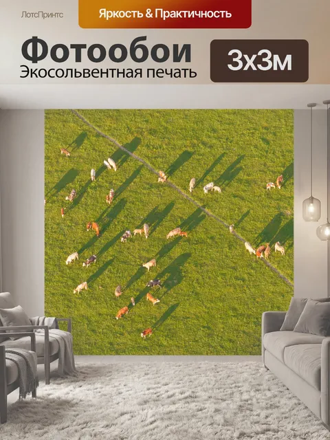 Фотообои стадо крупного рогатого скота