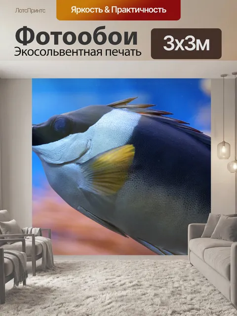 Фотообои Рыбы
