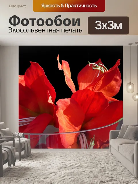 Фотообои Расцветает