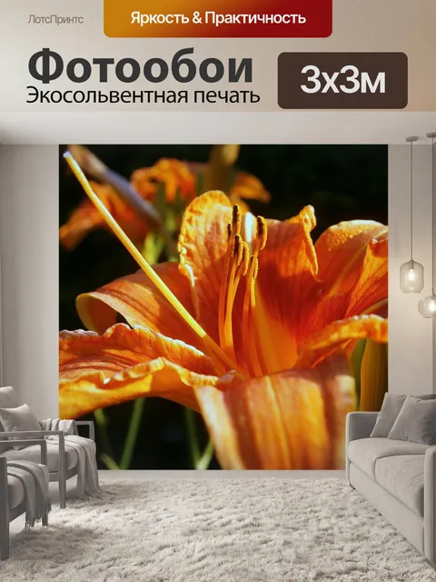 Фотообои Лили