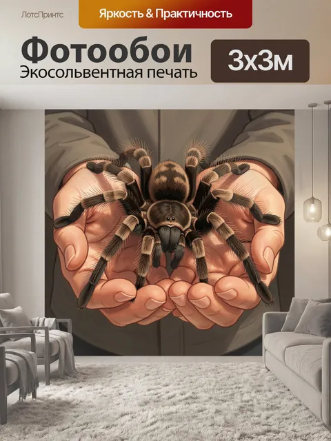 Фотообои Пушистый паук в ладонях