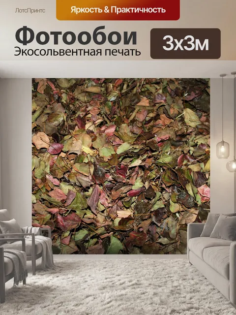 Фотообои сухие листья компостирование