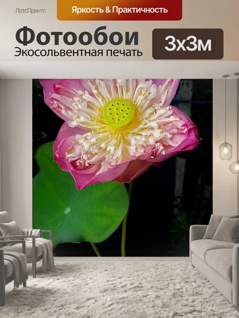 Фотообои Лотос