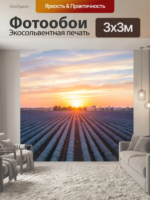 Фотообои Лавандовое поле на закате