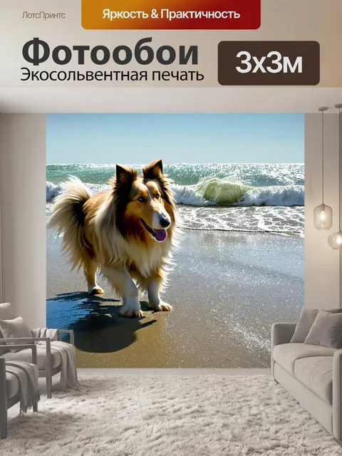 Фотообои грубая колли, играющая с мячиком на пляже, снятая в технике фотореализма