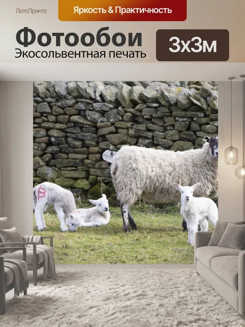Фотообои Ягнят с матерью овец
