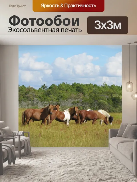 Фотообои Дикие лошади