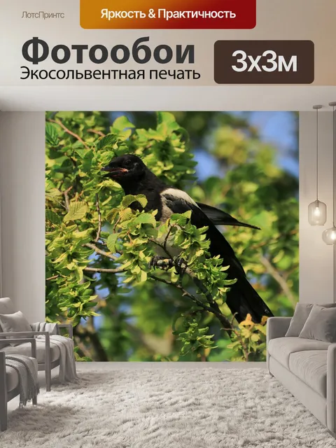 Фотообои Сорока