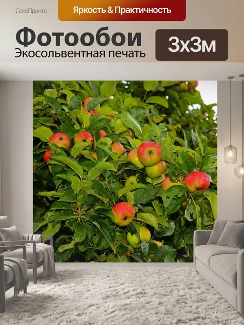 Фотообои Яблоня