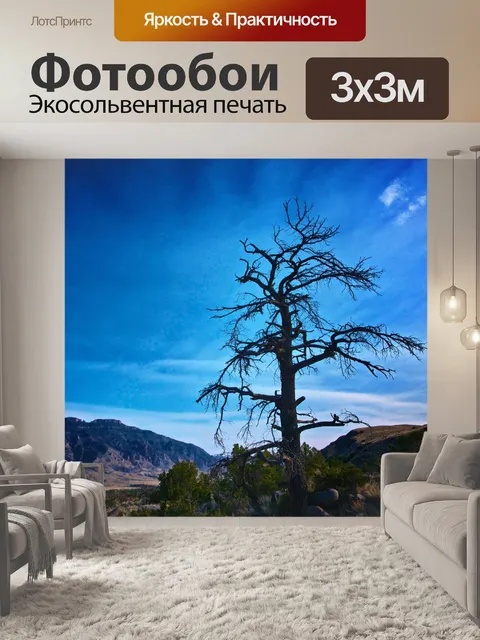 Фотообои Тень Мертвое дерево
