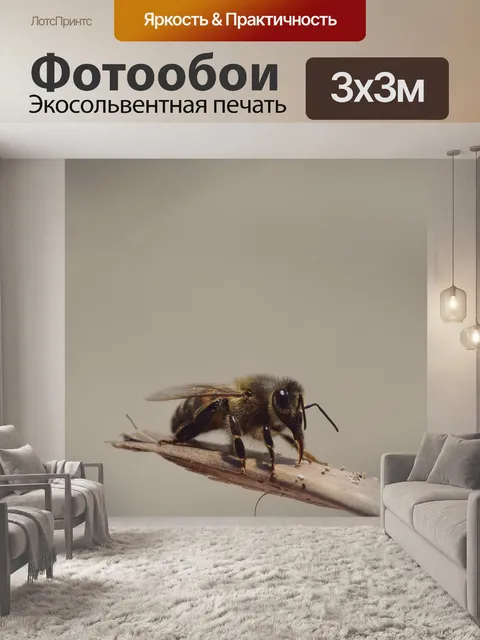 Фотообои Пчела
