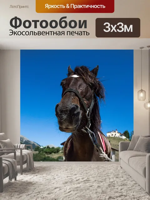 Фотообои Лошадь