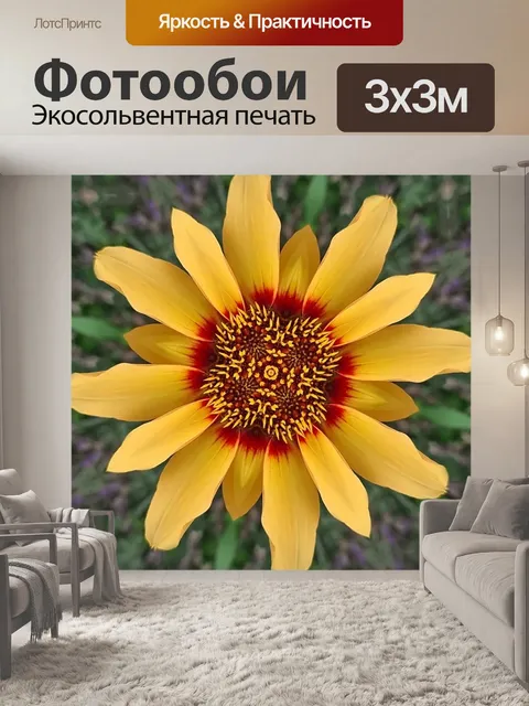 Фотообои Цветок, растение, зеленый