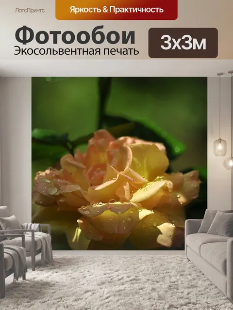 Фотообои Желтая роза
