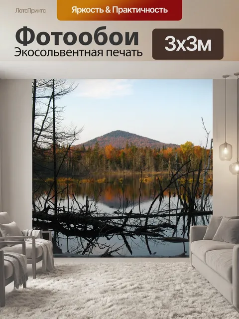 Фотообои Пруд