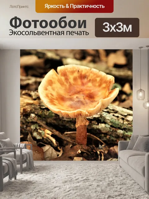 Фотообои Коричневый гриб в листьях