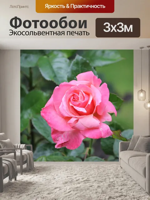 Фотообои Дикий Сад Роз