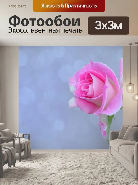 Фотообои Цветок розы день святого валентина