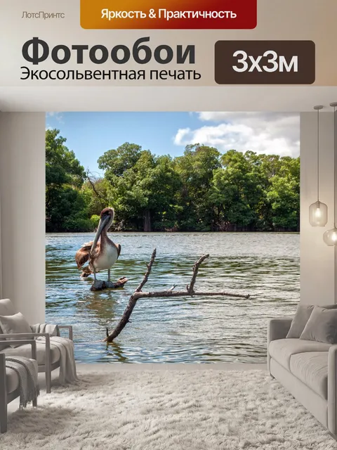 Фотообои Венесуэла