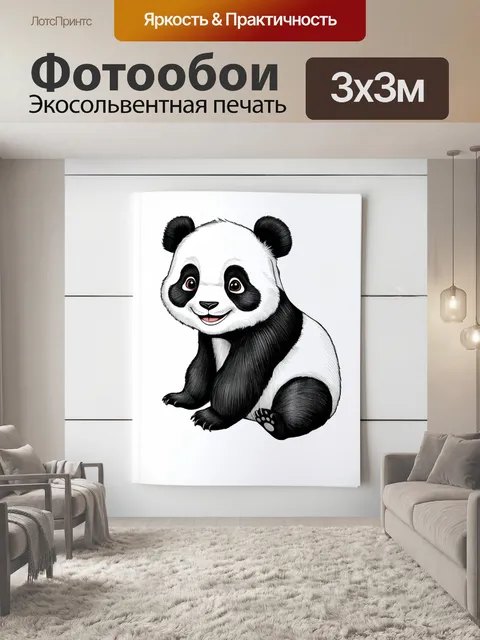 Фотообои панда, панда с большими глазами, раскраска