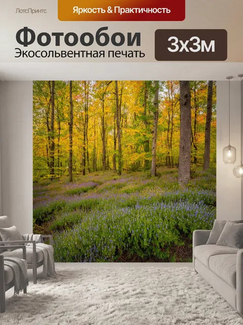 Фотообои осень в лесу с вереском