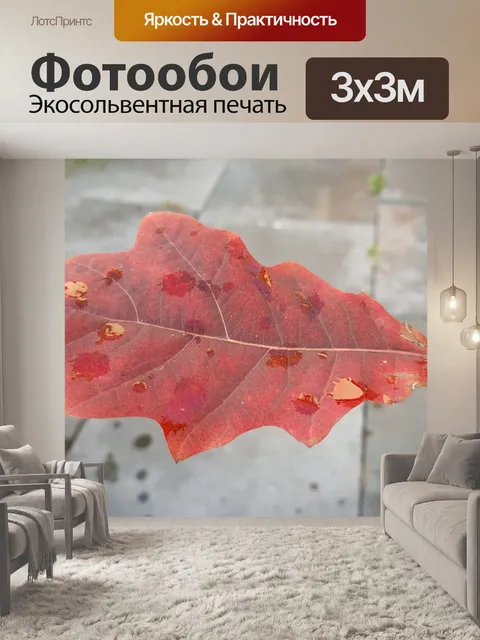 Фотообои Дубовый лист