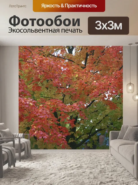 Фотообои Красные листья