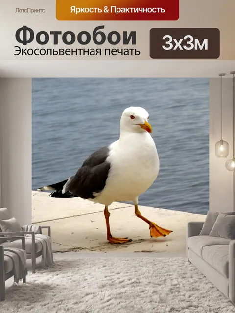 Фотообои Птица