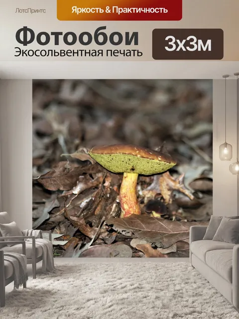 Фотообои Залив Bolete Mushroom 2