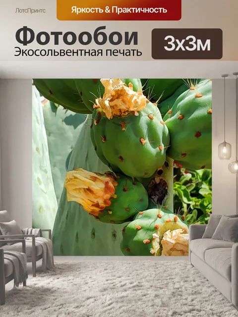 Фотообои Кактус опунции