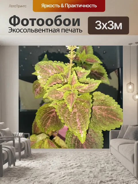 Фотообои Посадить в горшок 2