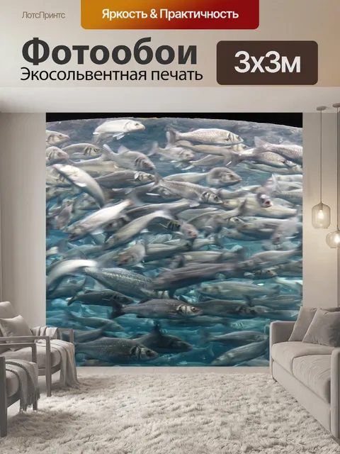 Фотообои Рыбы