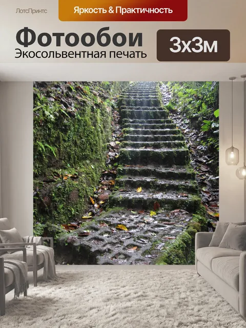 Фотообои Лестница на тропинке в тропическом лесу