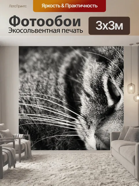 Фотообои Кот черный и белый
